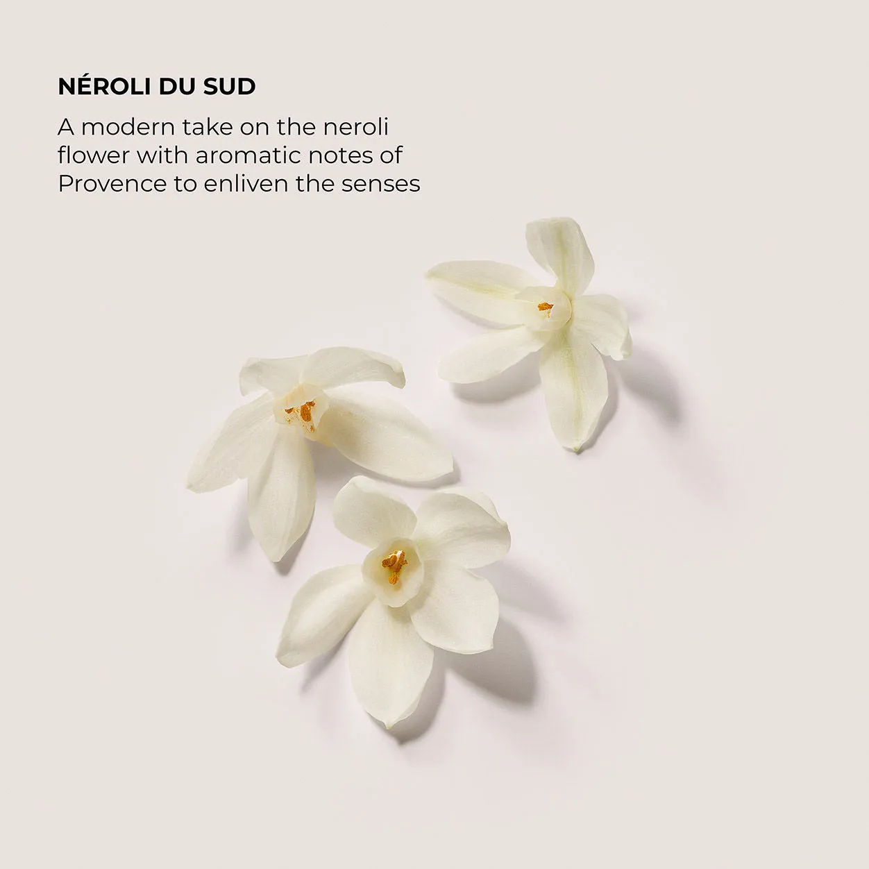 Nrolidu Sud Serum Body Cream